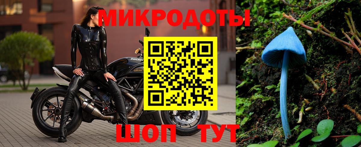 Галлюциногенные грибы прущие грибы Куйбышев