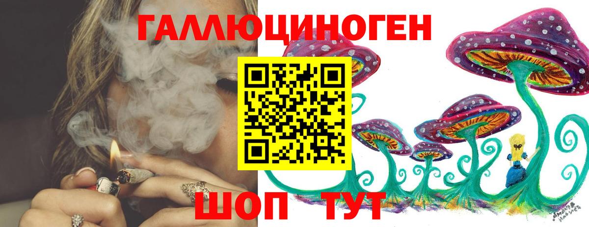 Куйбышев  Псилоцибиновые грибы мицелий  Вход с VPN  Псилоцибиновые грибы GOLDEN TEACHER 